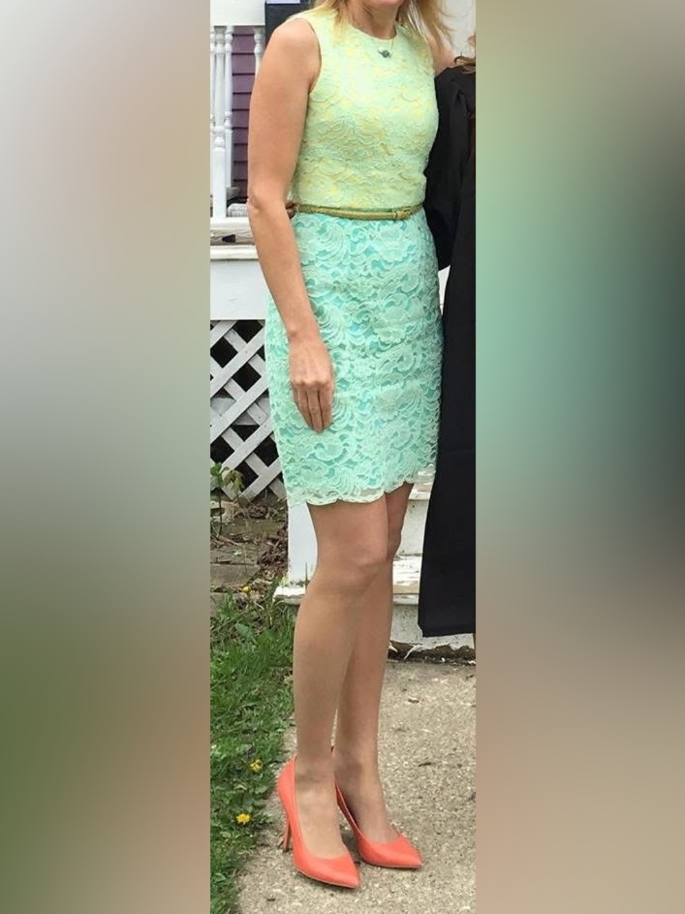 Maggy London Petites, Sleeveless Corded Lace Overlay Sheath Dress - Picture 10 of 10